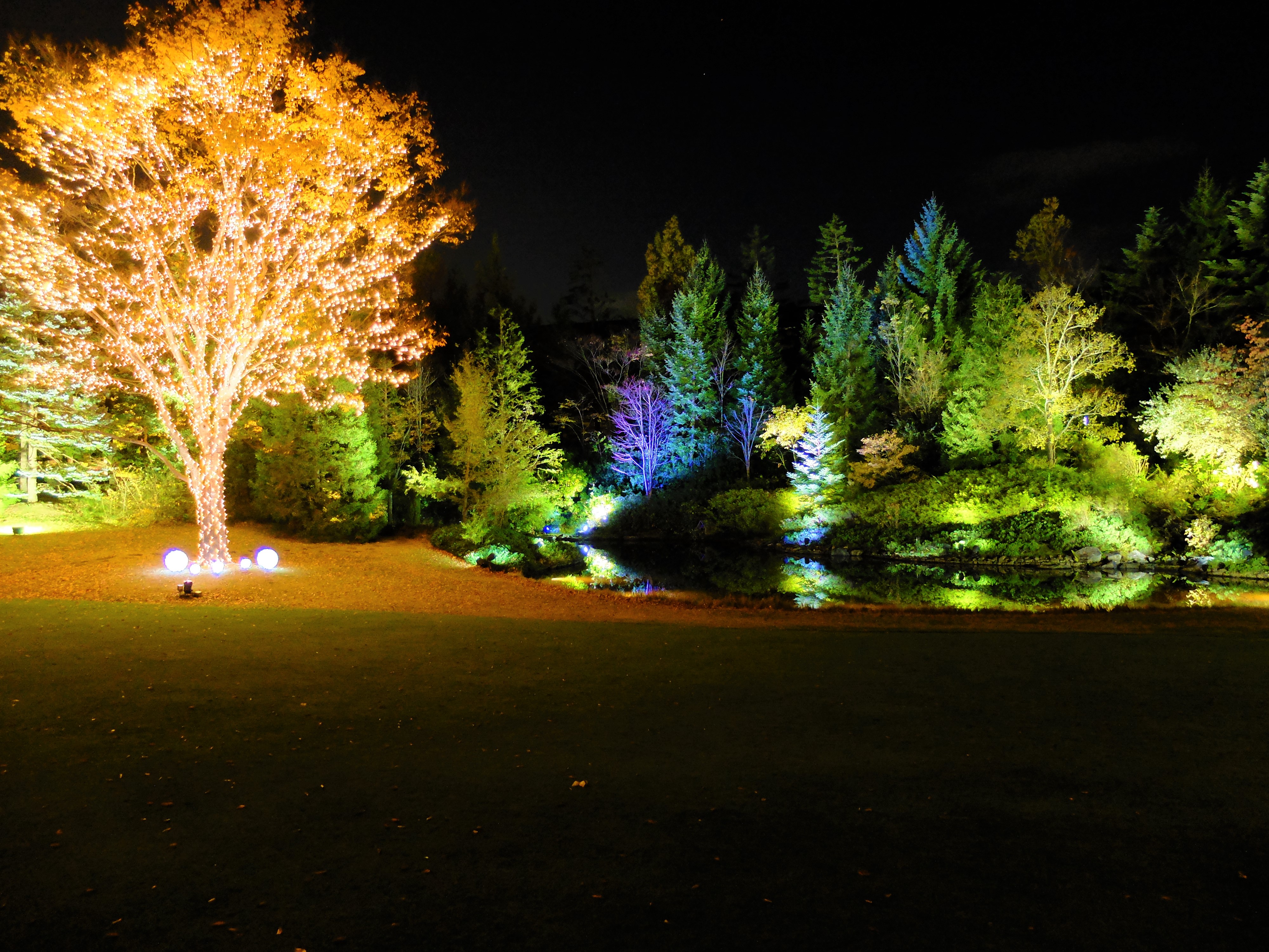 イルミネーション