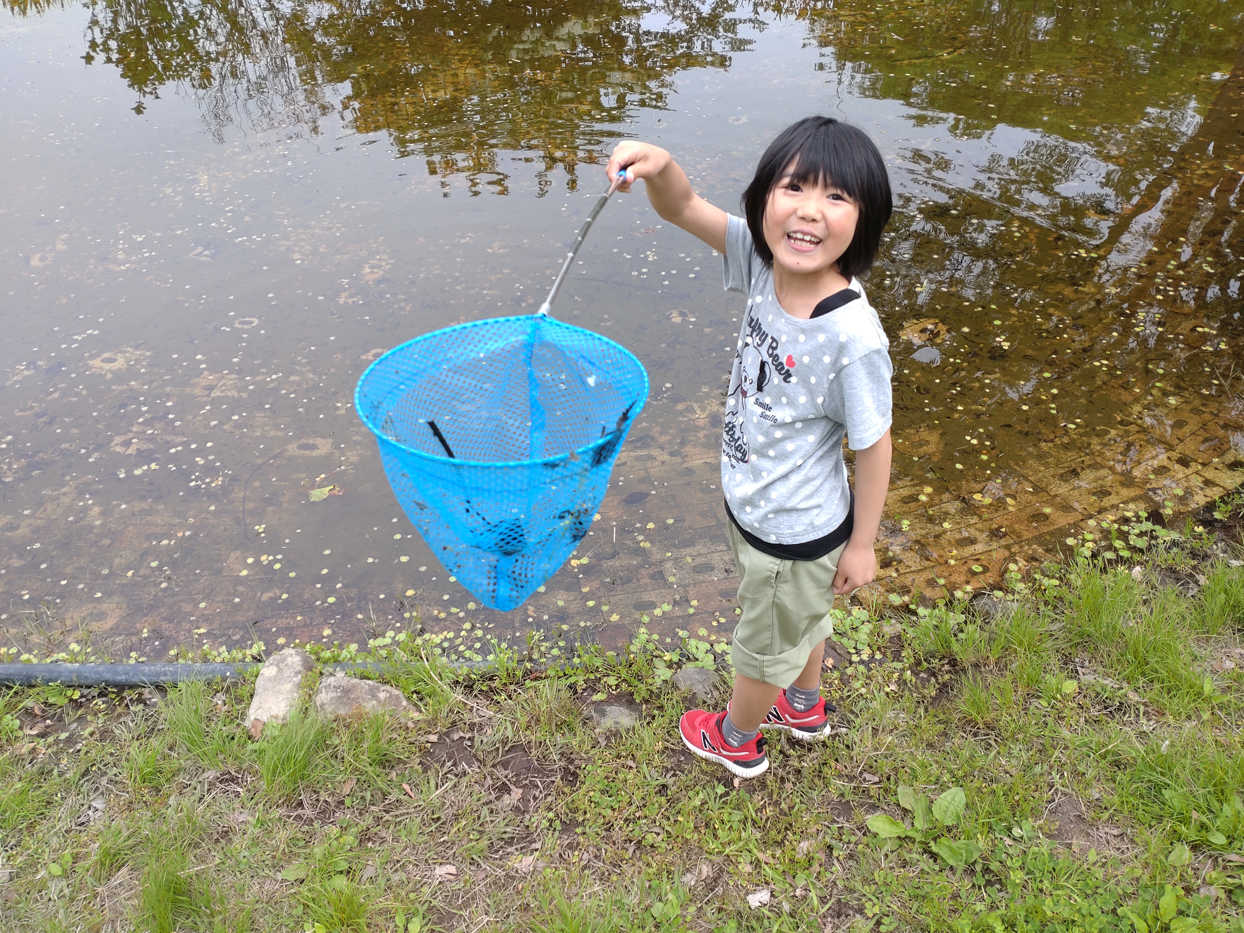 オタマジャクシ