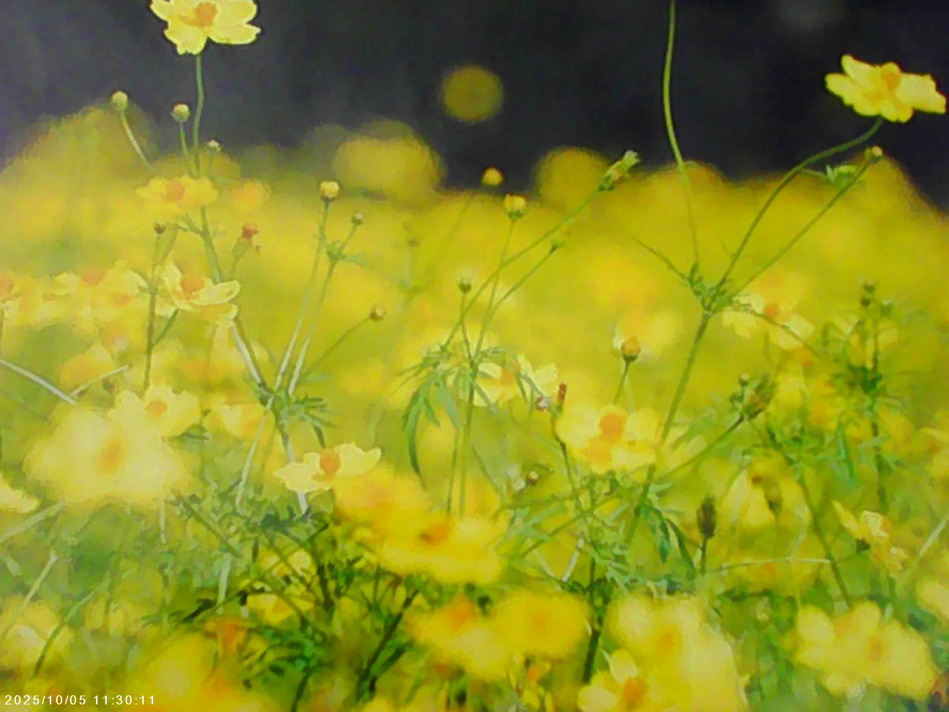 3COINSトイカメラ